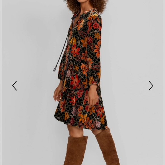 JOHNNY WAS JASMOON FLORE VELVET/SILK FIELD TIERED DRESS SIZE L BNWOT - Picture 4 of 14